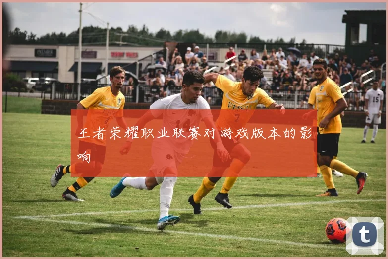 王者荣耀职业联赛对游戏版本的影响