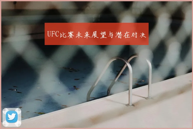 UFC比赛未来展望与潜在对决